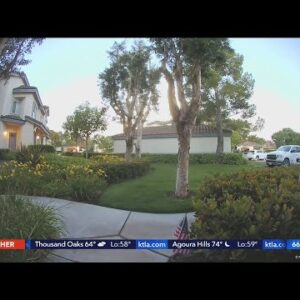 Anaheim woman hurt by explosive device thrown through her window