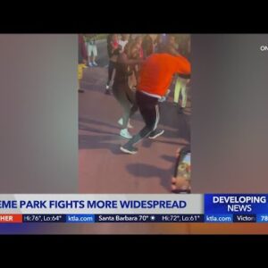 Are theme park fights becoming more widespread?