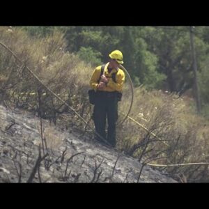 Brush fire near Buellton sparked by catalytic converter
