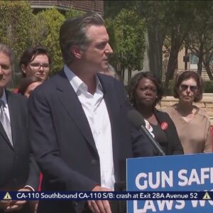 CA gun law mimics Texas abortion measure