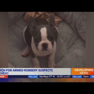 Cash, iPhone and dog taken in Rosemead home invasion