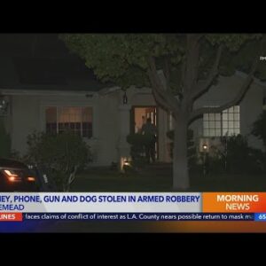 Cash, phone and dog taken in Rosemead home invasion