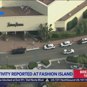 Chanel purses stolen from Fashion Island