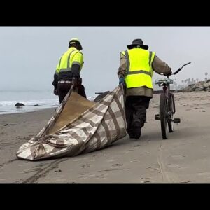 Coastal cleanup takes place before ocean swells increase