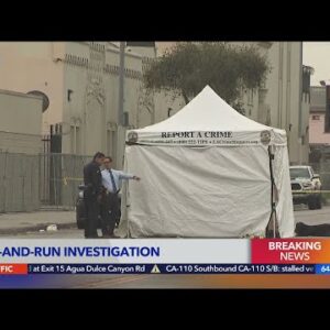 Victim found dead after Lakewood hit-and-run also had gunshot wound: LAPD