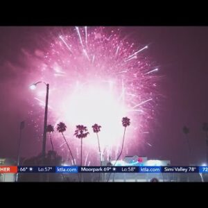 How to protect your pets during fireworks shows