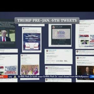 Jan. 6 hearing focuses on Trump’s tweets, ties to extremist groups