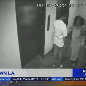 LAPD searching for murder suspects