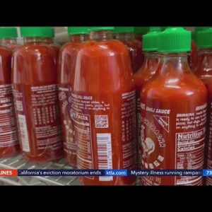 Restaurant offering to trade food for sriracha hot sauce as nation faces shortage
