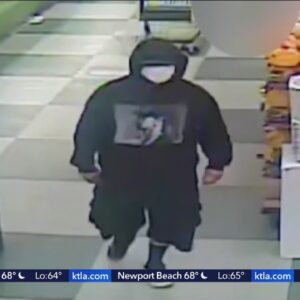 Police seek man in Santa Ana grocery store assault