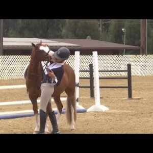 Over century long horse show tradition benefits from million dollar contribution