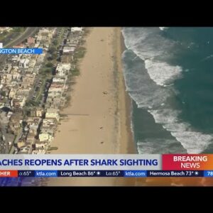 Section of O.C. coast reopens after report of shark sighting