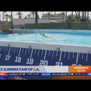 Summer Fair of L.A. returns to Santa Anita