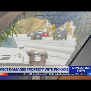 Suspect damages property with pickaxe