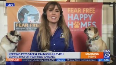 Tips for 'Fear Free' animals during July 4th fireworks