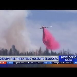 Washburn Fire threatens Yosemite sequoias