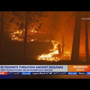 Yosemite fire grows as crews protect iconic sequoias