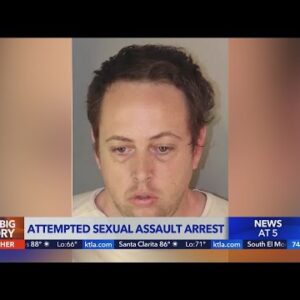Registered sex offender jumps elementary school fence and attempts to sexually assault student, poli