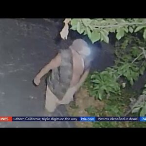 Forest Falls residents claim neighbor has been terrorizing them for a decade