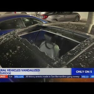 A dozen cars vandalized, burglarized in gated Northridge community