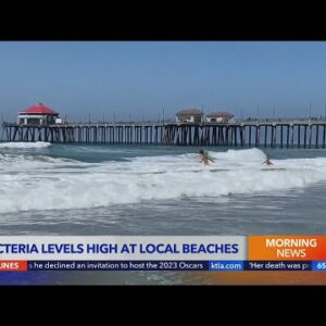 Bacteria Levels High at LA County Beaches