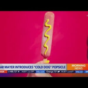 Cold dog? Oscar Mayer's hot dog-flavored popsicle