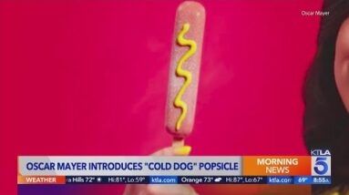 Cold dog? Oscar Mayer's hot dog-flavored popsicle