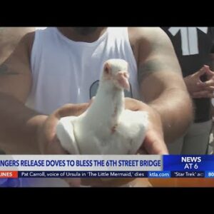 Doves released amid increased enforcement on 6th Street Bridge
