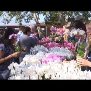 Educators surprised with orchid gifts