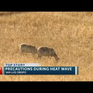 Firefighters have safety tips for the Central Coast heatwave