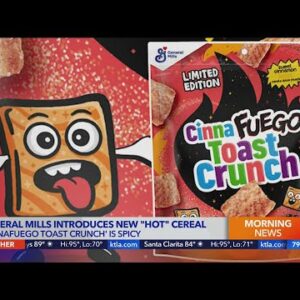 General Mills introduces new 'hot' cereal