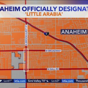 Anaheim officially designates 'Little Arabia' neighborhood; 1st Arab-American district in nation