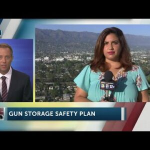 Goleta will consider ordinance to require safe firearm storage