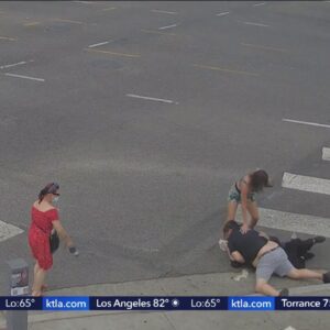 Hollywood robbery stopped by good Samaritan