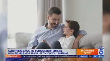 How to help sooth your student's back-to-school butterflies