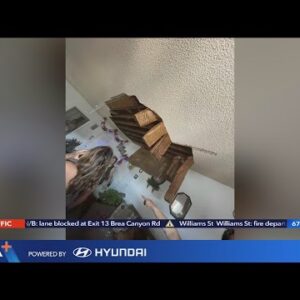 Ceiling collapses in Van Nuys apartment; neighbors say their homes are at risk too