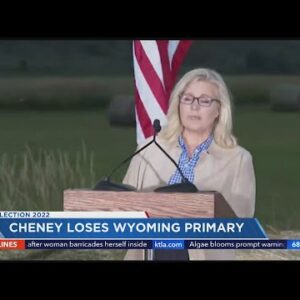 Liz Cheney defeated in Wyoming primary
