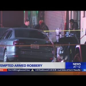 Man shot in Hollywood attempted robbery