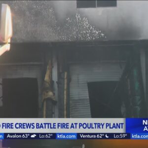 Montebello poultry business burns
