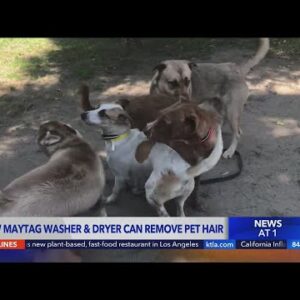 New Maytag washer and dryer can remove pet hair