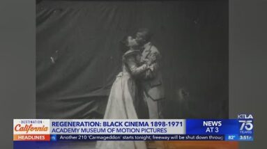 Regeneration Black Cinema 1898 - 1971