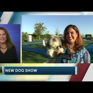 Rosewood Miramar Beach Hotel hosts its first ever charity dog show