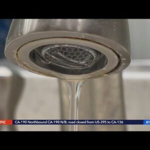 Can Shelby Save? Part 3: KTLA’s Shelby Nelson is back with water-saving tips on dishwashing