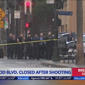 Shooting on Hollywood Walk of Fame leaves 1 hospitalized