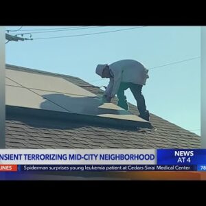 Transient causes tens of thousands in damage to Mid-City neighborhood, leaving Angelenos on edge