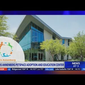 Wallis Annenberg PetSpace Partners with L.A. Animal Services