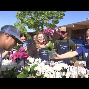 Westerlay Orchids provides cheer for teachers