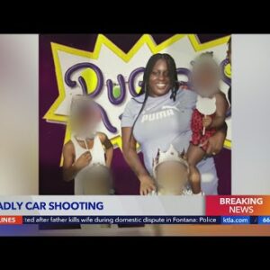 Mother of 3 fatally shot while traveling through Chesterfield Square neighborhood