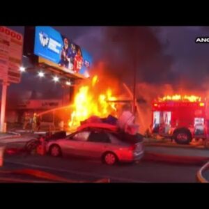 Fire tears through Culver City strip mall; cats killed at boarding facility