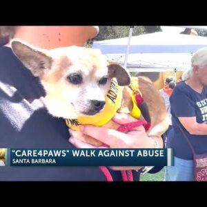 Animal lovers stand up to animal cruelty and domestic violence in first ever “Walk Against ...